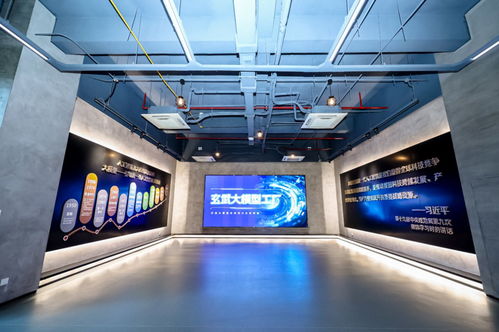 數聚玄武 探索跨境數據流動的中國方案與大數據服務